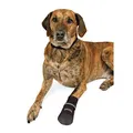 Weiteres Produktbild Bequeme Schutzstiefel aus Nylon, 2 Stück S: z.B. Jack Russel Terrier