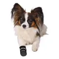 Weiteres Produktbild Bequeme Schutzstiefel aus Nylon, 2 Stück S: z.B. Jack Russel Terrier