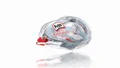Korrekturroller 8,4 mm x 14 m, Pritt Refill Roller, nachfüllbar, HENKEL
