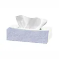 Kosmetiktuch (PAP) 2-lagig in Spenderbox [150 St.]