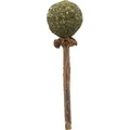 Kaulutscher MATATABI 11 cm Naturprodukt