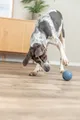 Weiteres Produktbild Labyrinth-Snacky-Ball für Leckerlis aus Hartgummi 7 cm TRIXIE