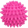 Latex-Igelball mit Sound 6 cm TRIXIE
