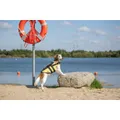 Weiteres Produktbild Schwimmweste für Hunde XS 28 cm: 30-50 cm, bis 12 kg gelb/schwarz