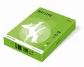 MAESTRO color INTENSIV 80g 500 Blatt Frühlingsgrün - MA42