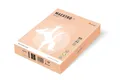 MAESTRO color PASTELL 160g 250 Blatt Lachs - SA24
