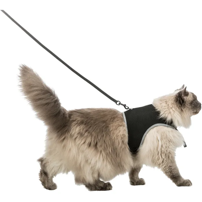 Hauptproduktbild Měkký postroj s vodítkem pro kočku XL 36-54cm / 1,20 m černý