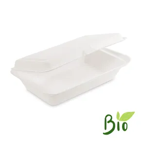 Lunch-Box Zuckerrohr-Bagasse ungeteilt 250 x 162 x 63 mm [50 St.]