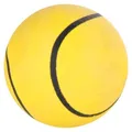 Ball Moosgummi 70mm TRIXIE