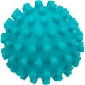 Ball mit Spikes 6 cm TRIXIE