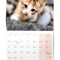 Weiteres Produktbild Wandkalender - Katzen