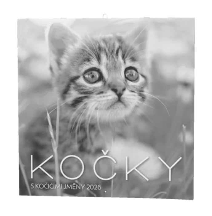 Hauptproduktbild Nástěnný kalendář - Kočky