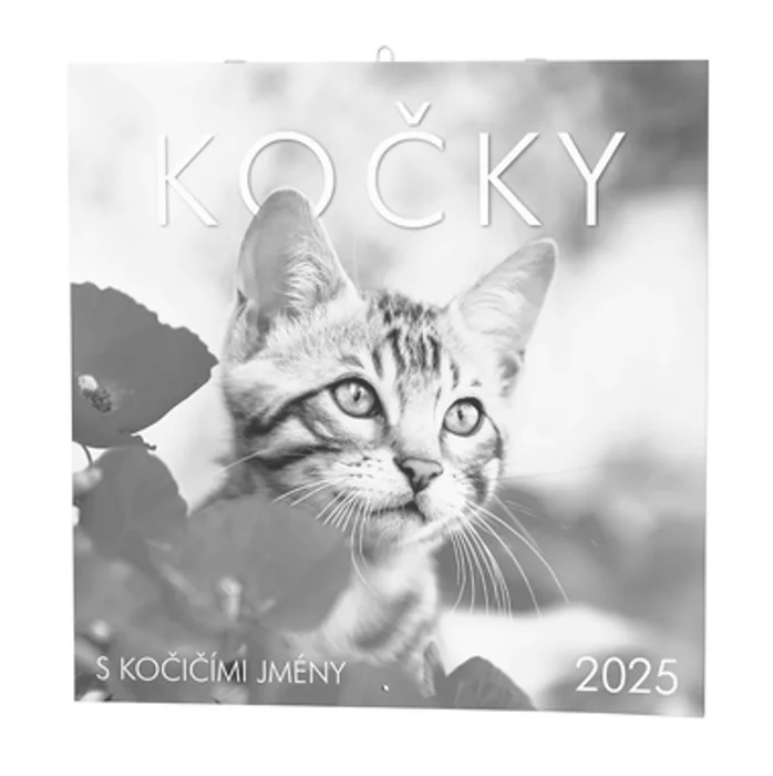 Hauptproduktbild Nástěnný kalendář - Kočky