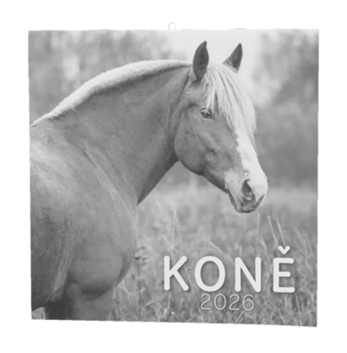 Hauptproduktbild Nástěnný kalendář - Koně