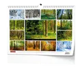 Wandkalender - Wald