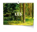 Wandkalender - Wald