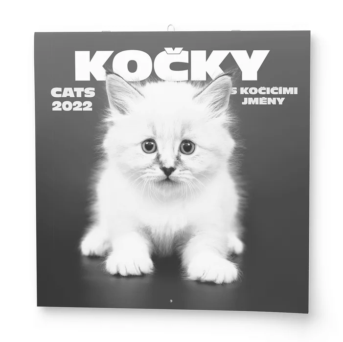Hauptproduktbild Nástěnný kalendář - Poznámkový - Kočky