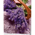 Weiteres Produktbild Wandkalender - Provence - A3