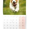 Weiteres Produktbild Wandkalender - Welpen