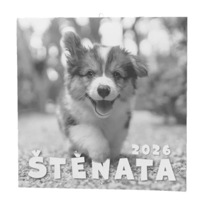 Hauptproduktbild Nástěnný kalendář - Štěňata
