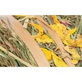 Weiteres Produktbild Natur Snack - Heurolle mit Blumen, 500g