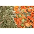 Weiteres Produktbild Natur Snack - hängende Heurolle mit Erbsen und Karotten, 250g