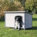 Weiteres Produktbild Natura Hundehütte mit Flachdach L 116 x 82 x 79 cm, grau