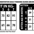 Weiteres Produktbild Natural Woodland Backwoods Diet Cat & Kitten /vepřové/5 kg