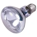 Neodym Basking-Spot-Lampe 100 W