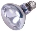 Neodym Basking-Spot-Lampe 100 W