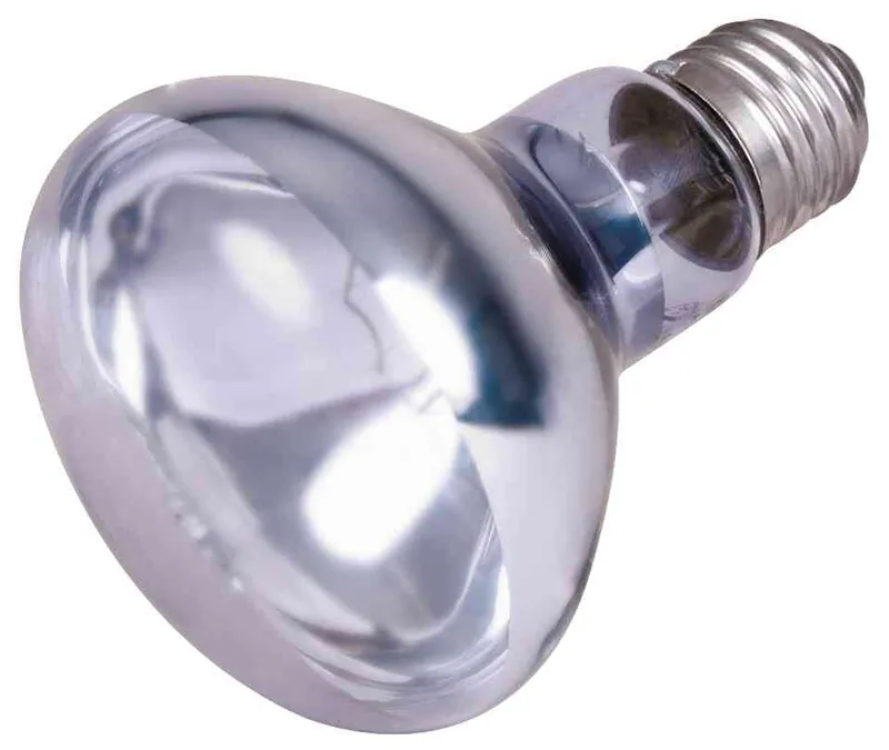 Hauptproduktbild Neodymium Basking-Spot-Lamp 75 W