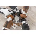 Edelstahlnapf für Welpen 4,0 l / 38 cm