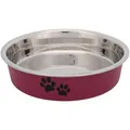 Edelstahlnapf mit farbiger Beschichtung für Kurznasenkatzen 0,25l/13 cm