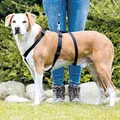 Weiteres Produktbild STAY-Nylongeschirr (Fluchtschutz) L-XL: Brustumfang: 75–100 cm/25 mm