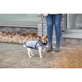 Weiteres Produktbild PONTIS Anzug - Weste mit Geschirr, silbergrau M: 45cm, Brustumfang: 64-68cm, Halsumfang: 48cm