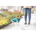 Weiteres Produktbild PONTIS Anzug - Weste mit Geschirr, türkis M: 45cm, Brustumfang: 64-68cm, Halsumfang: 48cm