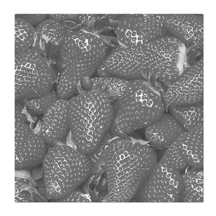 Hauptproduktbild Obrúsky PAW L 33x33cm Raw Strawberries