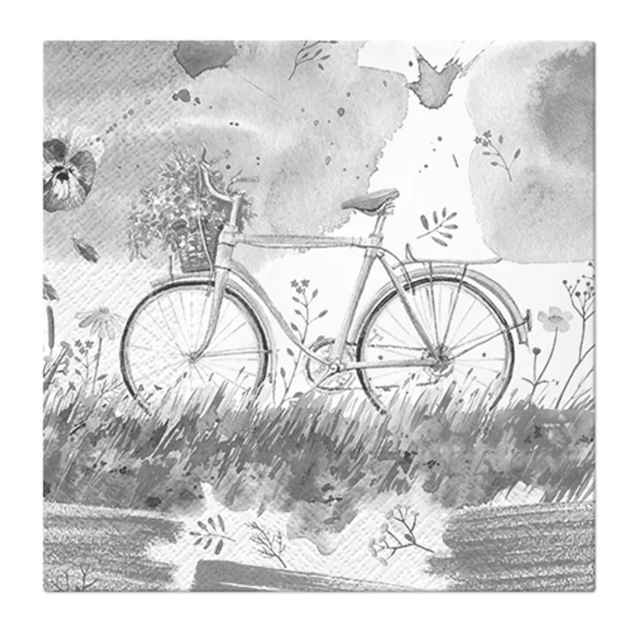 Hauptproduktbild Obrúsky PAW L 33x33cm Watercolour Bicycle