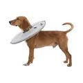 Weiteres Produktbild Schützender Softkragen „Disc“, L-XL: 53-56 cm/27 cm, Polyester/Schaum, grau