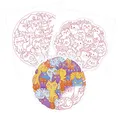 Avenue Mandarine Graffy Pop Mandala Kittens Malvorlagen