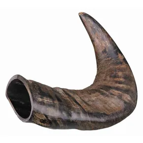 Original Büffel-Kauhorn, mittelgroß