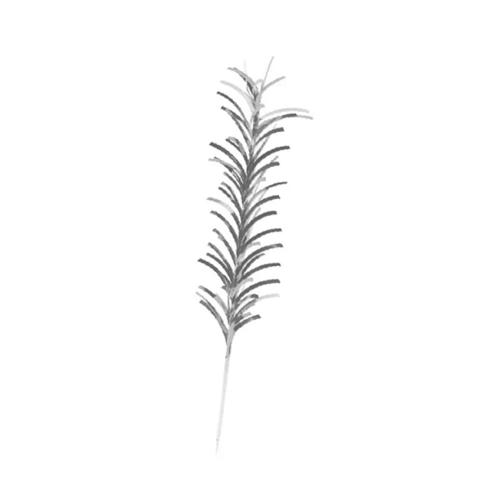 Hauptproduktbild Palmička SPIKES 210 mm [50 ks]