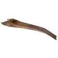 Weiteres Produktbild Papahholz - Palmblatt 50-65 cm für kletternde Reptilien (6 Stk)