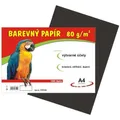 Papier für den Kunstunterricht A4/100/80g schwarz