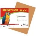 Papier für den Kunstunterricht A4/100/80g braun