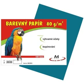 Papier für den Kunstunterricht A4/100/80g hellblau