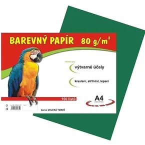 Papier für den Kunstunterricht A4/100/80g dunkelgrün