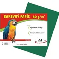 Papier für den Kunstunterricht A4/100/80g dunkelgrün