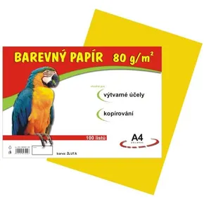 Papier für den Kunstunterricht A4/100/80g gelb
