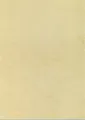 Papier, Textur Havanna, A4, 90 g, APLI [100 Blatt]